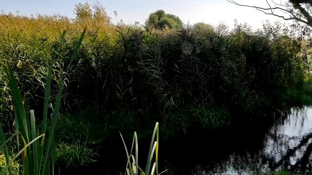 Что нельзя делать в чужом доме. Приметы и поверья. смотреть онлайн