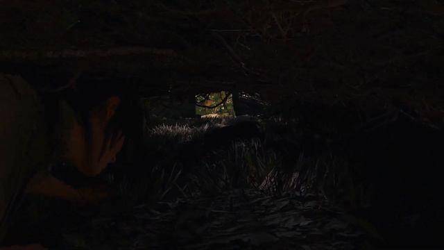 Lara Croft Rape Mod?