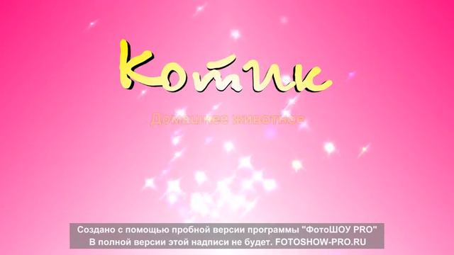 топ 5 милых животных смотреть онлайн