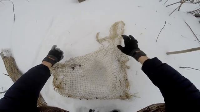 Ловушка на зайца| Как поймать зайца | Lovushka na zaytsa | Kak poymat' zaytsa смотреть онлайн