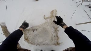 Ловушка на зайца| Как поймать зайца | Lovushka na zaytsa | Kak poymat' zaytsa