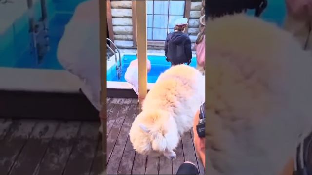 день рождения в Таёжных банях смотреть онлайн