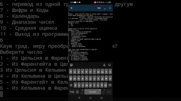 Проверяю свою программу на Python