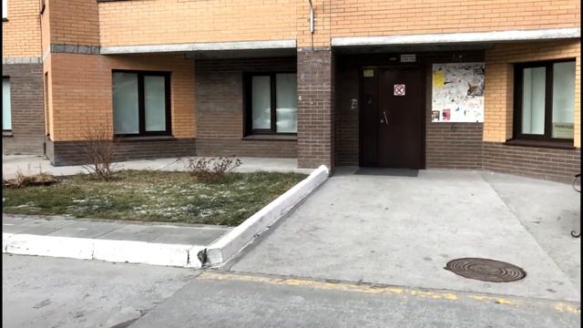 Квартира на проспекте Коптюга в центре новосибирского Академгородка смотреть онлайн