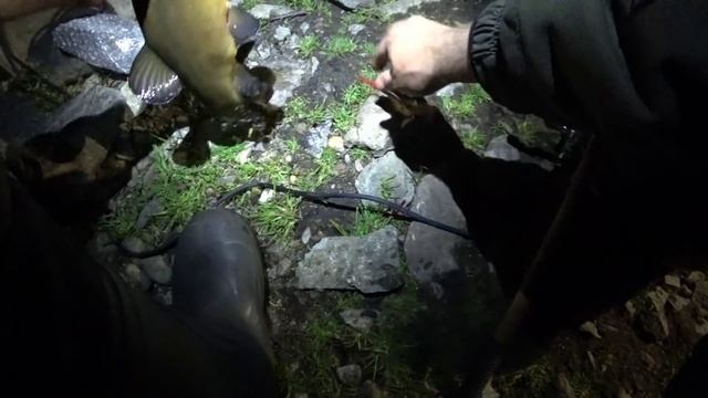 УСТАЛ ТАСКАТЬ ЭТИХ ЛЕЩЕЙ!!!Рыбалка на фидер. Ловля леща и линя. смотреть онлайн