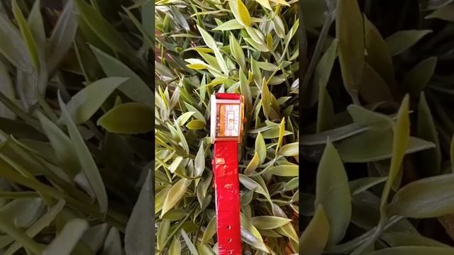 Золотые женские часы НИКА с цирконами смотреть онлайн