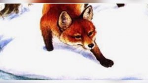 Сказка «Хитрый лис и умная уточка», автор В.В. Бианки