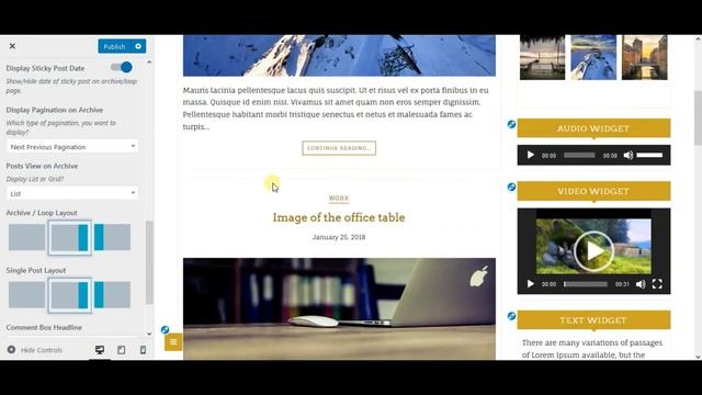 Blog Options - Di Responsive WordPress Theme смотреть онлайн