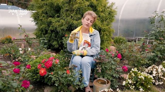 Строительные Рецепты