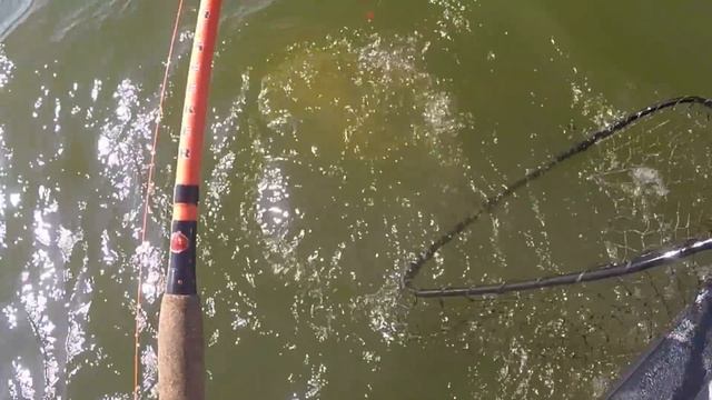 Drift Fishing Big Monster Blue Catfish (Need Net Man) Live Action смотреть онлайн