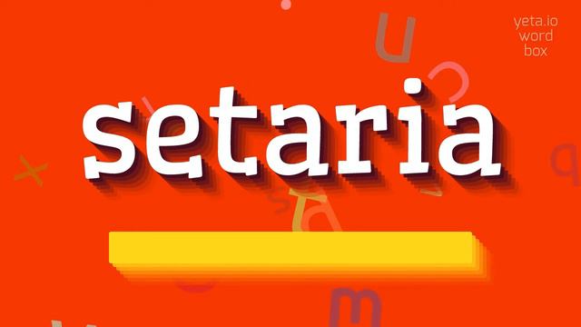 SETARIA - HOW TO PRONOUNCE IT? #setaria