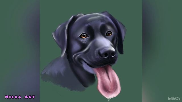 Как нарисовать Лабрадора \ процесс рисования в Procreate смотреть онлайн