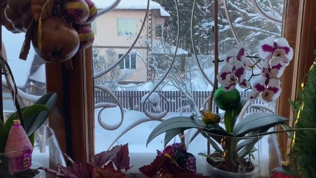 Дача /после сильного снегопада / топлю камин готовлю ужин / спасаю цветы смотреть онлайн
