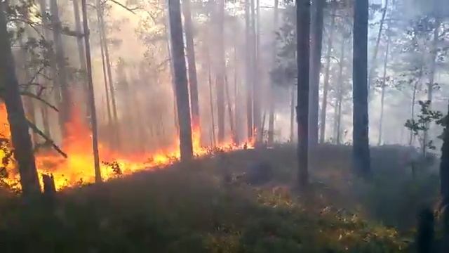 Пожар в Бурзянском районе! смотреть онлайн