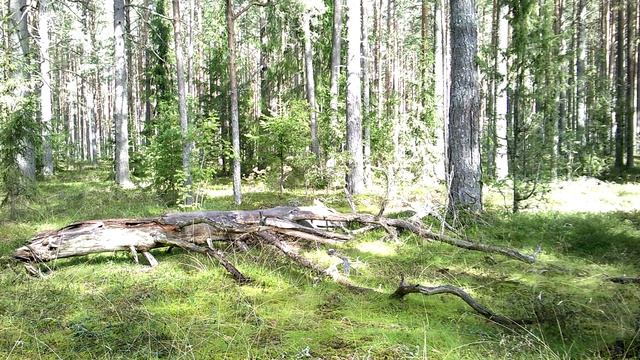 в сентябре.mp4