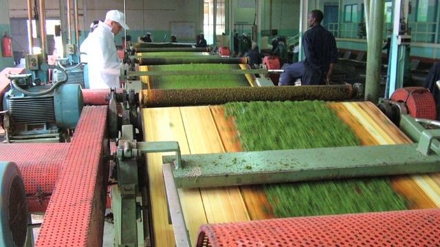 Clipper Teas - A different kind of tea company смотреть онлайн