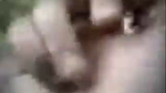 вася смотреть онлайн