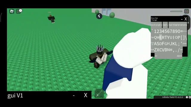 Roblox Fe Script Showcase| Fe Rune (fling) R6 | Fluxus and Hydrogen смотреть онлайн