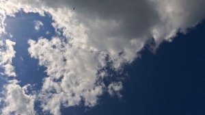 @ Fausto Papetti - Feeling @ Фаусто Папетти - Чувства (саксофон)