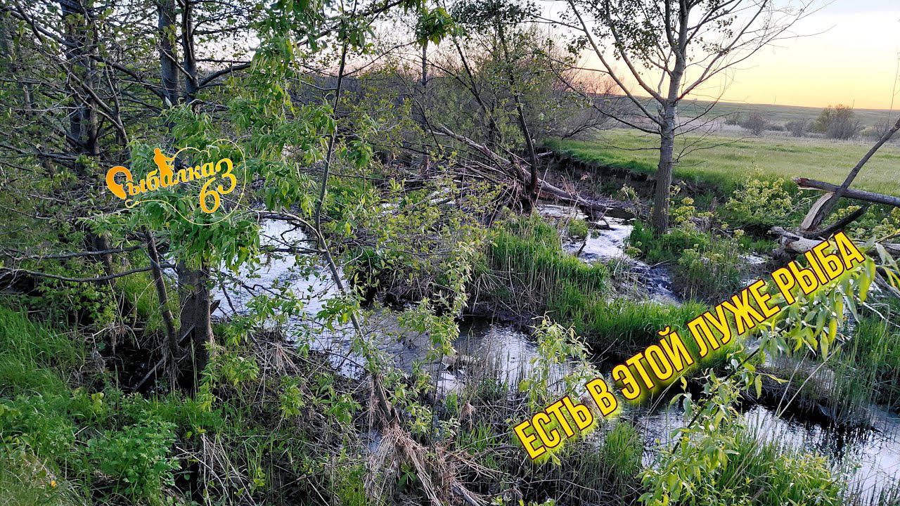 ВОТ ЭТО ВЕСЕННИЕ ПОКЛЕВКИ ХИЩНИКА. НАШЕЛ БОЛОТО А В НЕМ ПОЛНО РЫБЫ смотреть онлайн