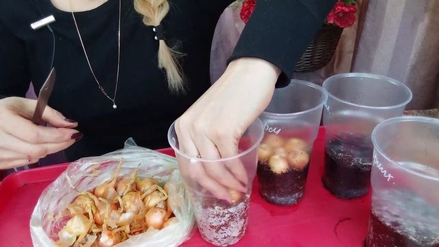 Зеленый лук дома. смотреть онлайн