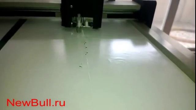 Планшетный режущий плоттер DCZ в процессе нанесения печатного материала, режущий плоттер и раскройщ смотреть онлайн