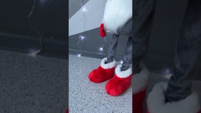 Скандинавский гном смотреть онлайн