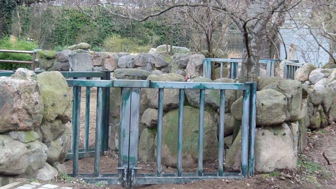 Берлинский зоопарк - обзор карты вольеров. Berlin ZOO смотреть онлайн
