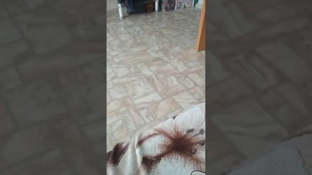 распаковка колонки tng 157 смотреть онлайн