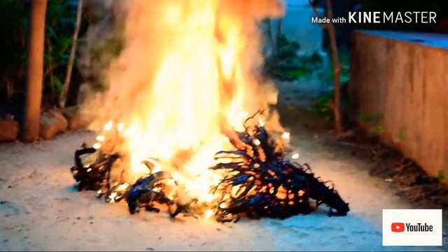7000 snake Diwali cracker one tis Diwali ko friends ke sath one time смотреть онлайн