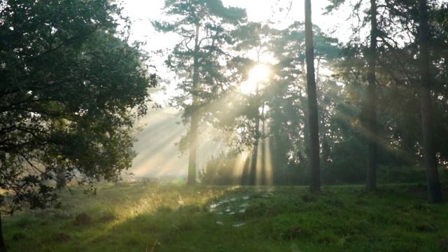 Открытие своей силы и энергии через энергию земли | Тамара Жукова | Tamara Zhukova | Энергия земли смотреть онлайн