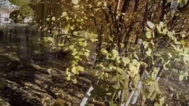 Мария Пахоменко Любовь останется! смотреть онлайн