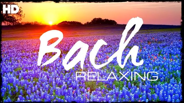 The Best Relaxing Classical Music Ever By Bach - Relaxation Meditation Focus Reading смотреть онлайн