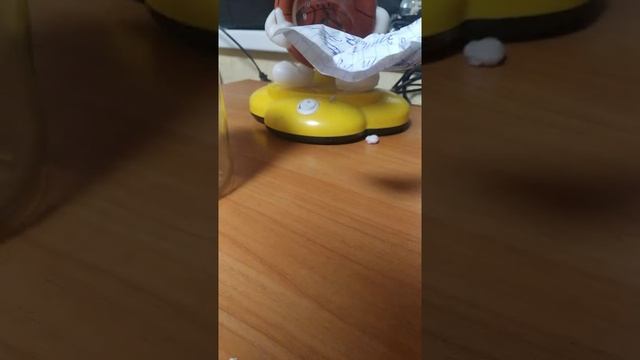 Как перестать бояться паука смотреть онлайн