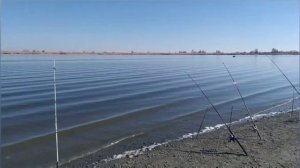 Рыбалка в Калаче река Дон конец октября