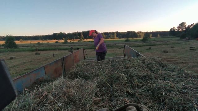 Работа на ферме, телята, сенокос. Жизнь за городом. МАЗ с сеном смотреть онлайн