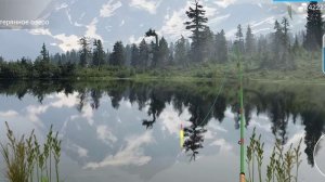 Как и где ловить#Пелядь#my fishing world