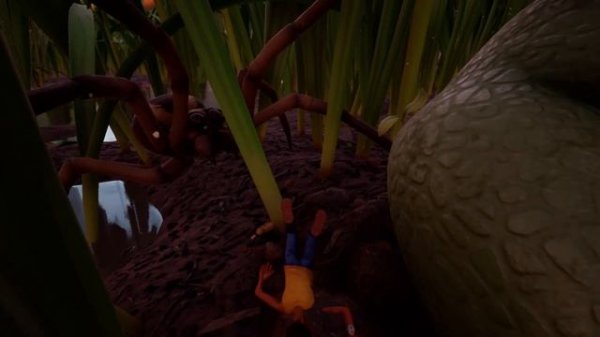 All Wolf Spider Spawn Locations Grounded