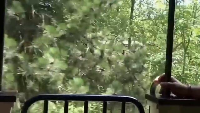 Диснейленд Париж Экскурсия на паровозике по ужасам и красотам Диснейленда смотреть онлайн