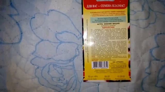 Ознакомление с цветами Астра Зимняя вишня - однолетник смотреть онлайн