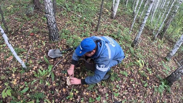 Экспедиция с металлоискателями. Ищем старое урочище которое не отмечено на карте смотреть онлайн