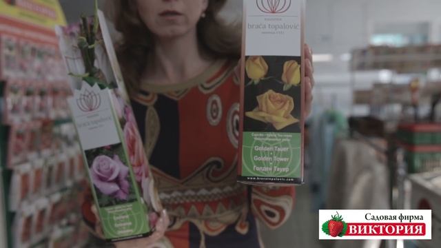 Розы Тантау от братьев Топалович. часть 2 смотреть онлайн