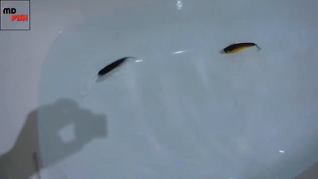 Джерк "Aloha" 120 мм, 43 гр смотреть онлайн