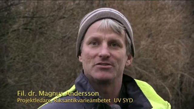 Intervju med arkeolog Magnus Andersson смотреть онлайн