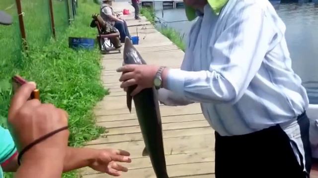 Рыбалка в Савельево 14 07 2016 смотреть онлайн