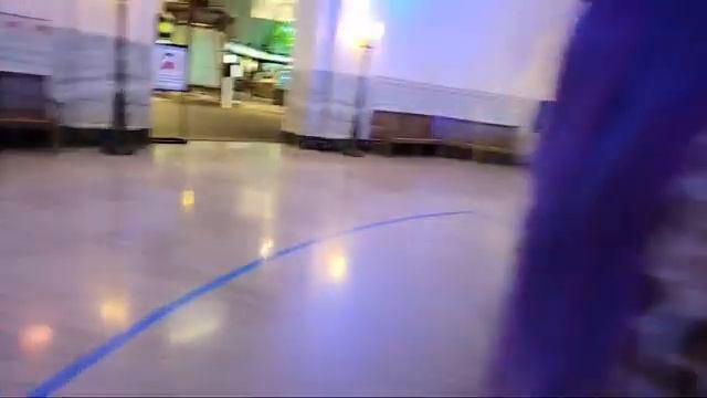 Chicago Shedd Aquarium Trip Vlog смотреть онлайн