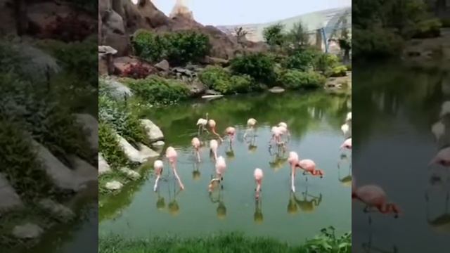 Нячанг видео март 2019 🌴 смотреть онлайн