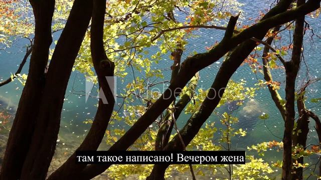 Семейный анекдот смотреть онлайн