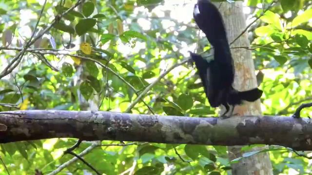 Всем доброго утра и хорошего дня! смотреть онлайн