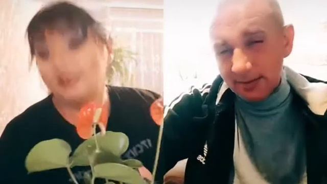 фиалка расцвела смотреть онлайн